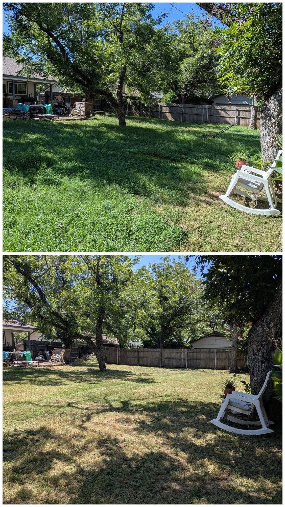 Backyard lawn transformation