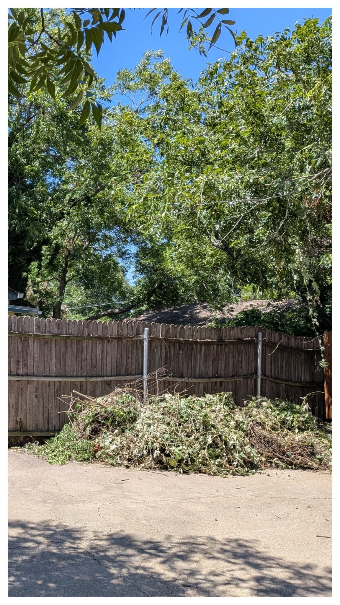 Brush cleared from the fence line