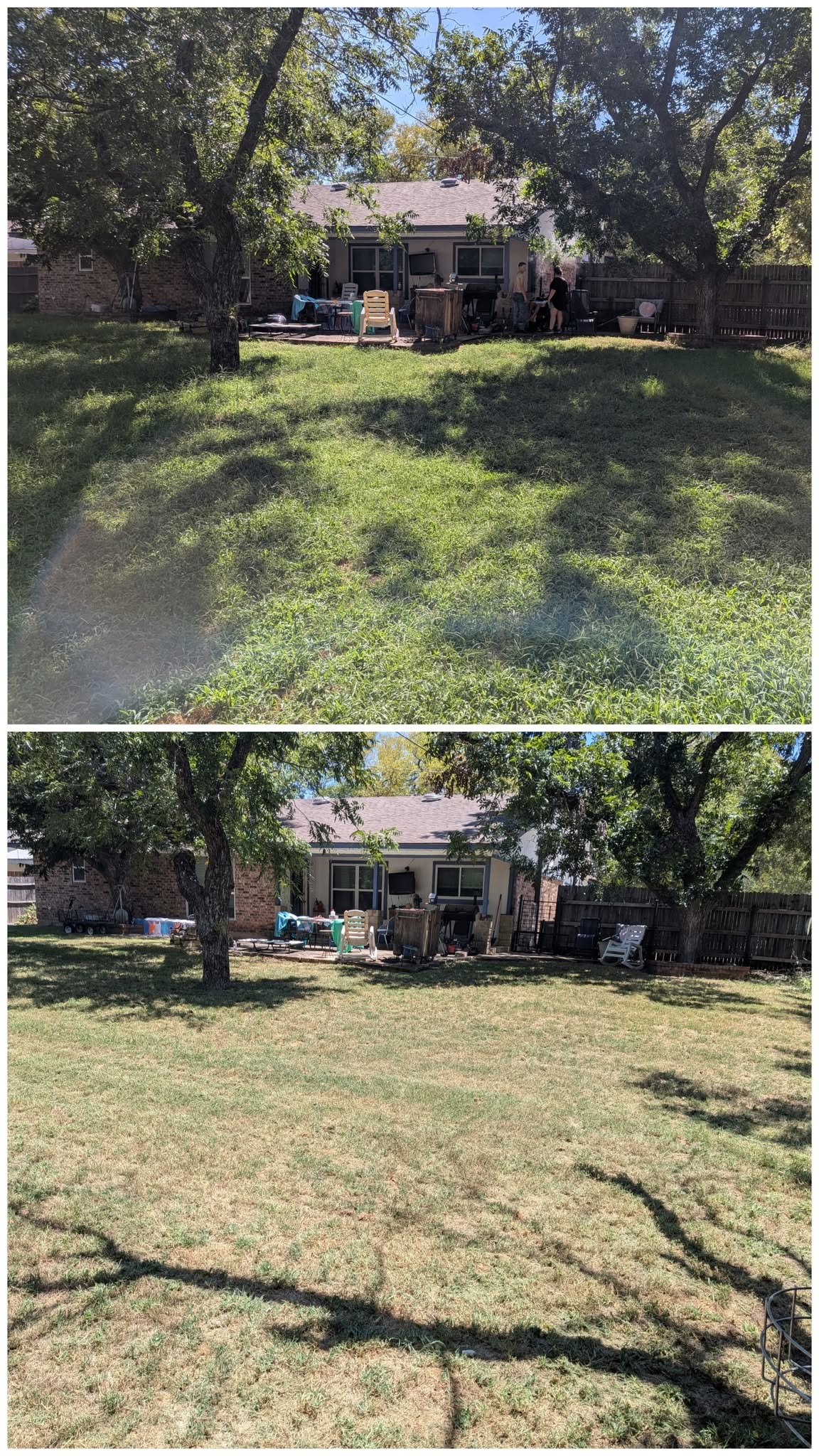 Residential lawn cleanup