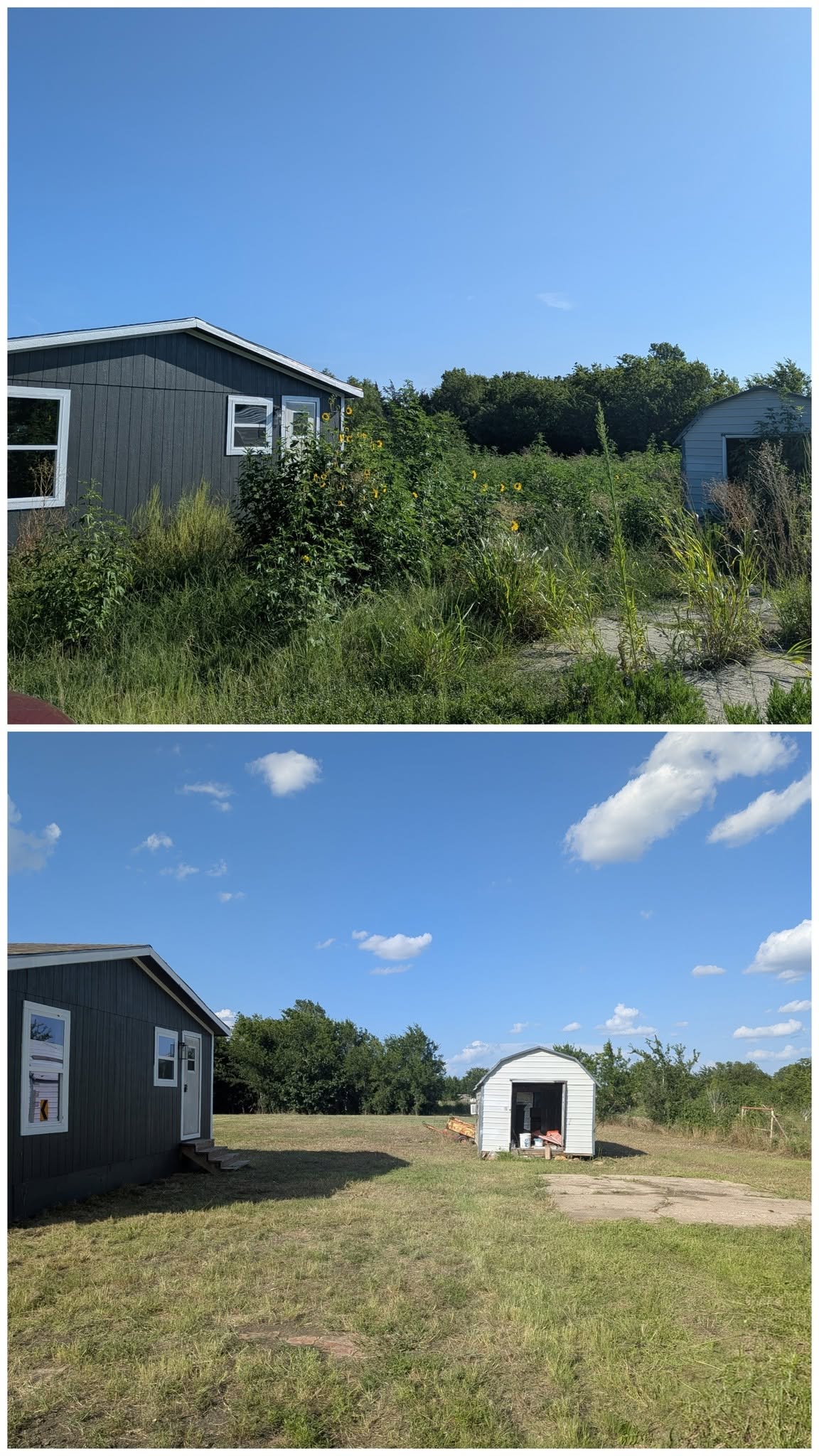 Side yard overgrowth cleared
